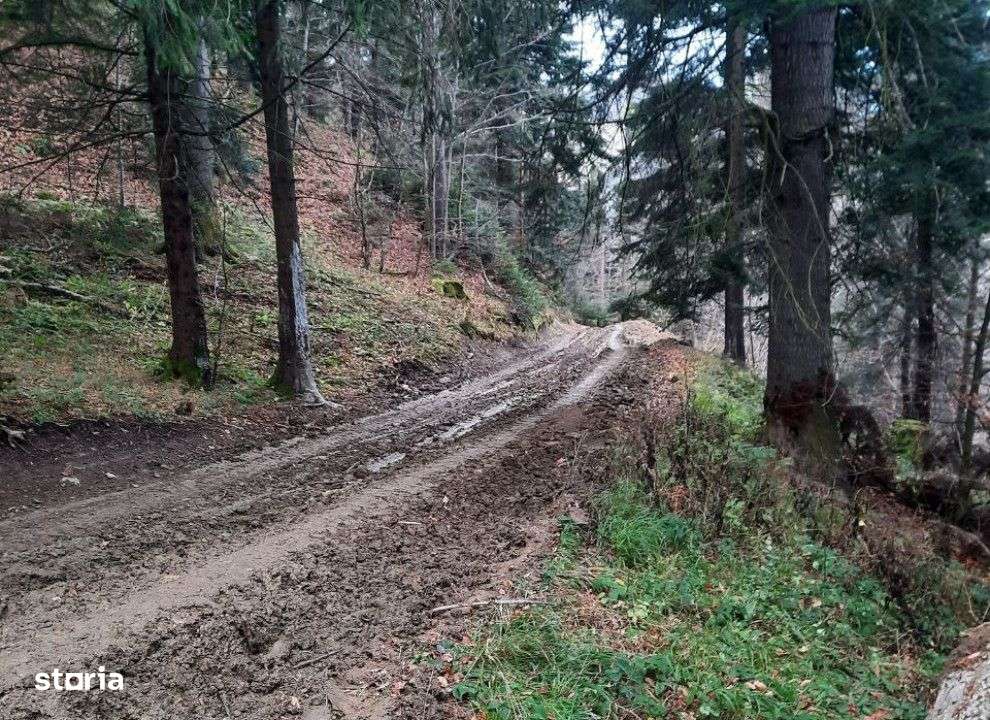 Teren extravilan , 2500 metri Cod:160694 - Imagine principală: 5/5