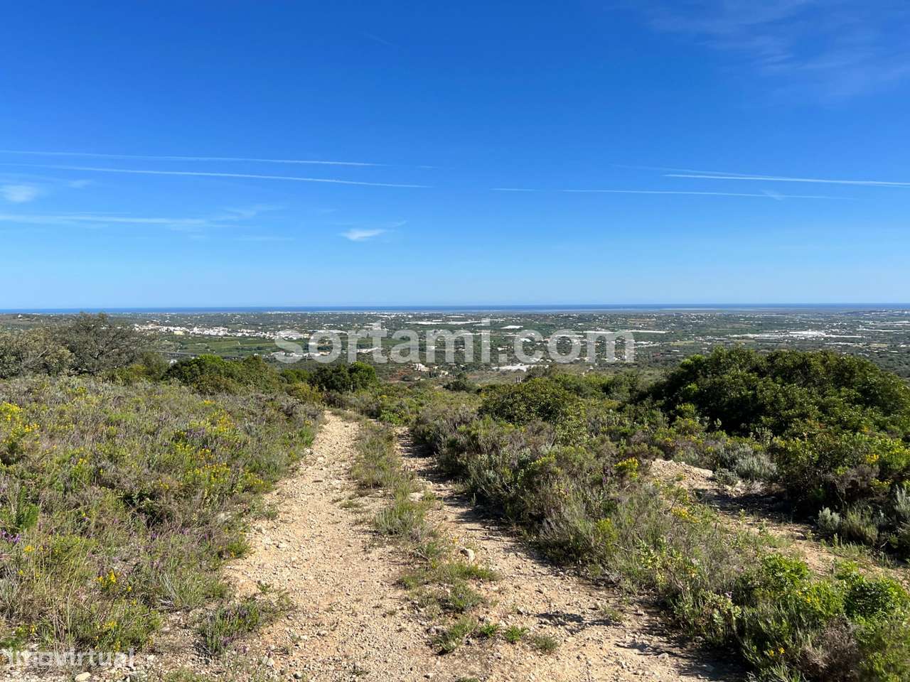 Terreno Rústico  Venda em Conceição e Estoi,Faro - Grande imagem: 5/9