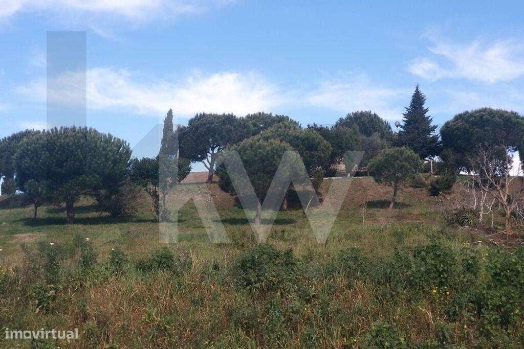 Lote Terreno para construção de moradia unifamiliar na Urbanização Moi - Grande imagem: 5/14