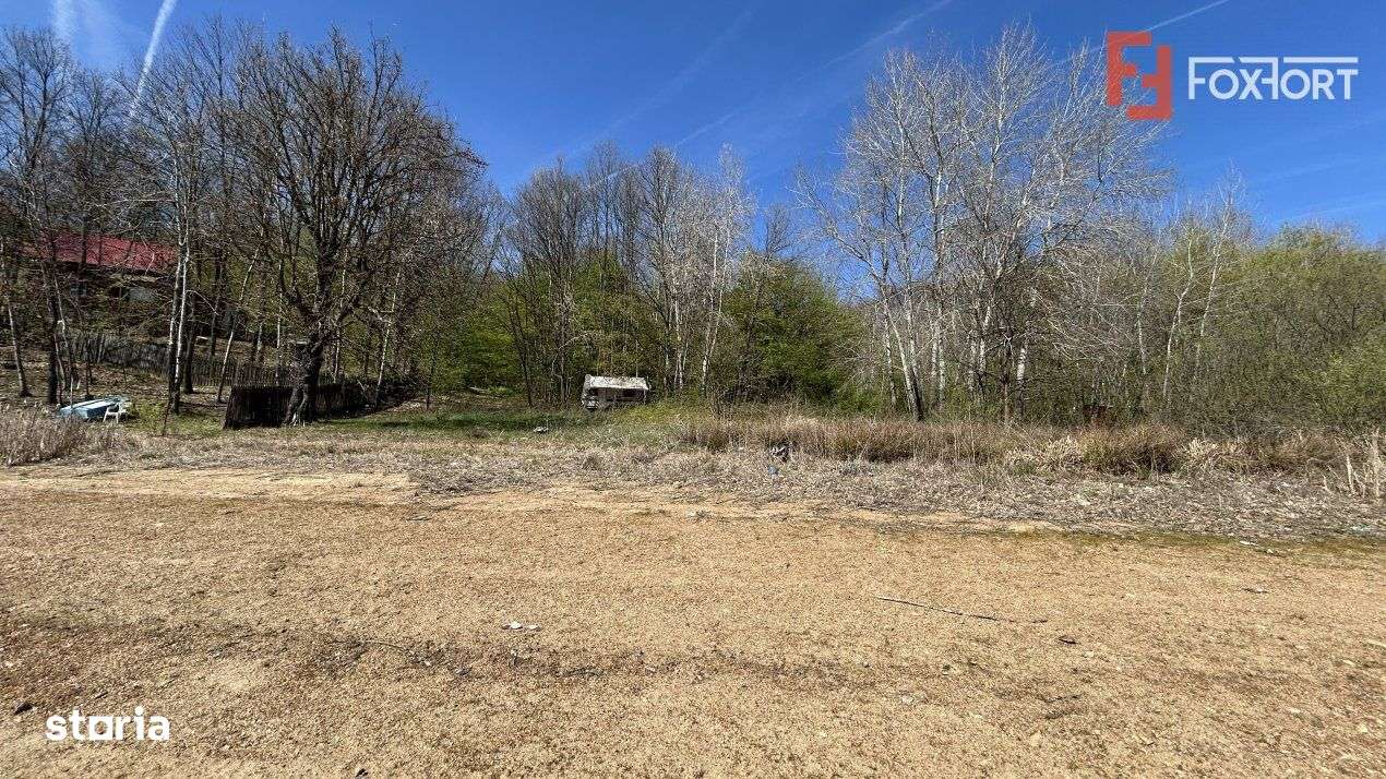 Teren de vanzare 6000 mp cu iesire la Lac Surduc - Imagine principală: 2/8