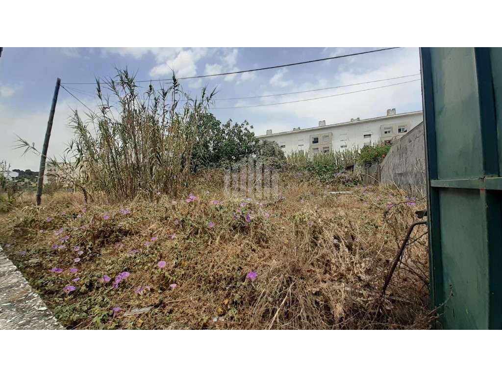 Terreno rústico c/ possibilidade de passar a urbano, com área total... - Grande imagem: 4/8