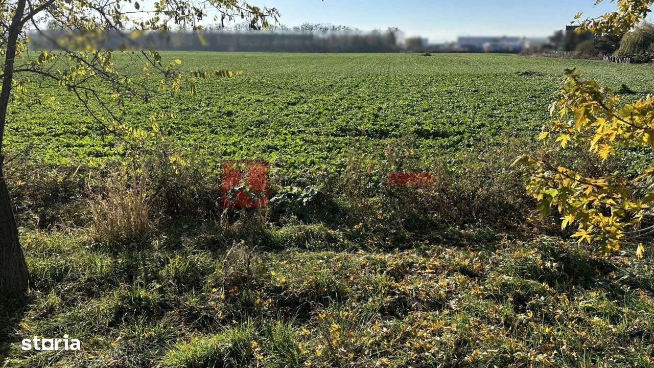 TEREN- 59 545 MP - POZITIONAT STRADAL-2