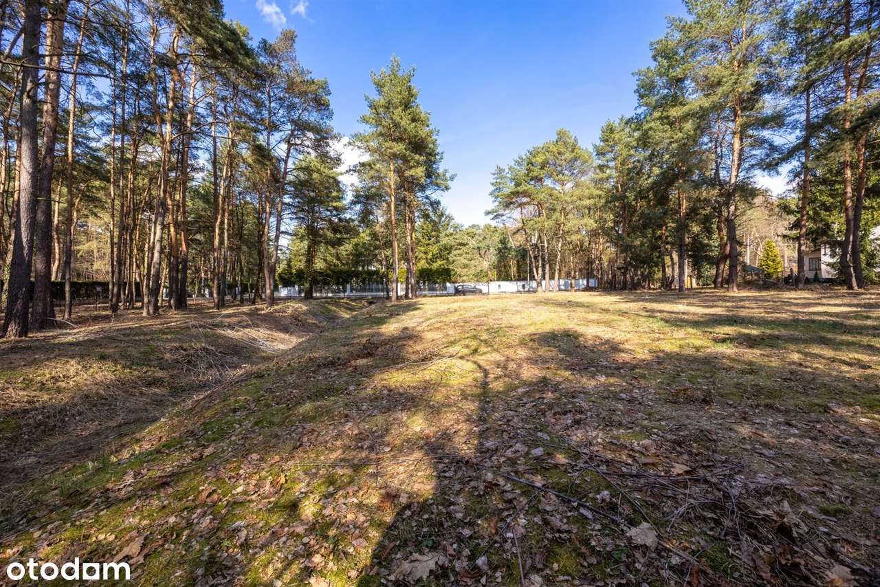 działka 3318m2 | zabudowa wolnostojąca | chylice-9