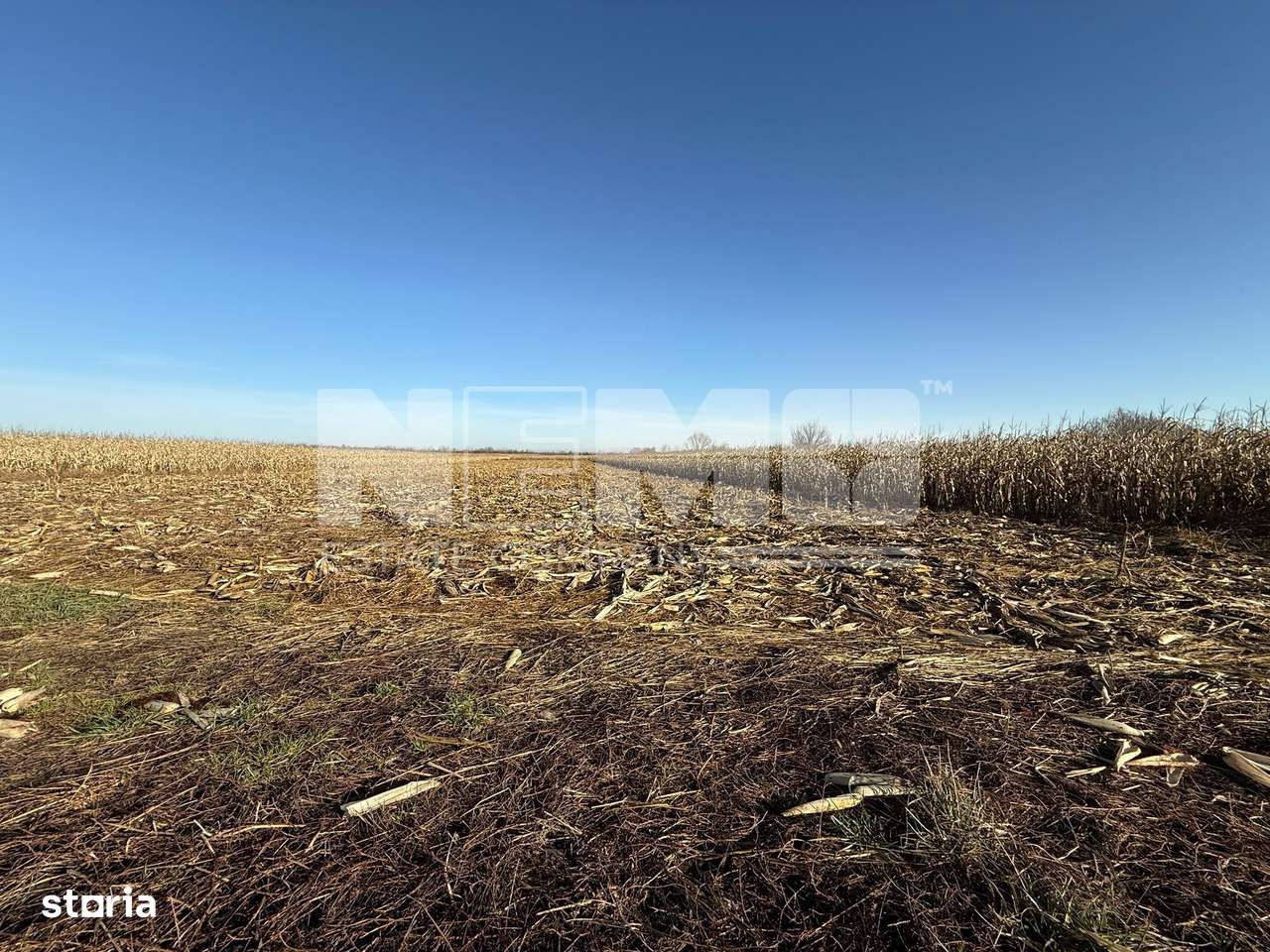 TEREN EXTRAVILAN  51 ARI |  HORODNIC DE JOS  | - Imagine principală: 4/10