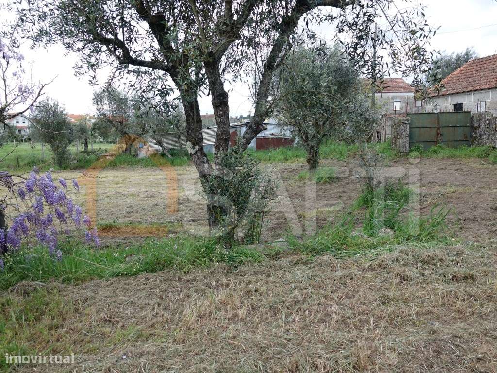 Quintinha com 6.845m2 e com casa de habitação para recuperar, com f... - Grande imagem: 5/18