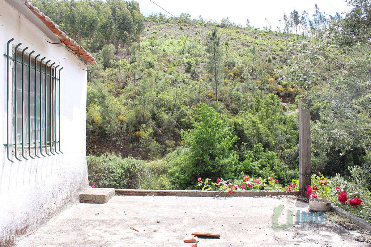 Imóvel Rural-39