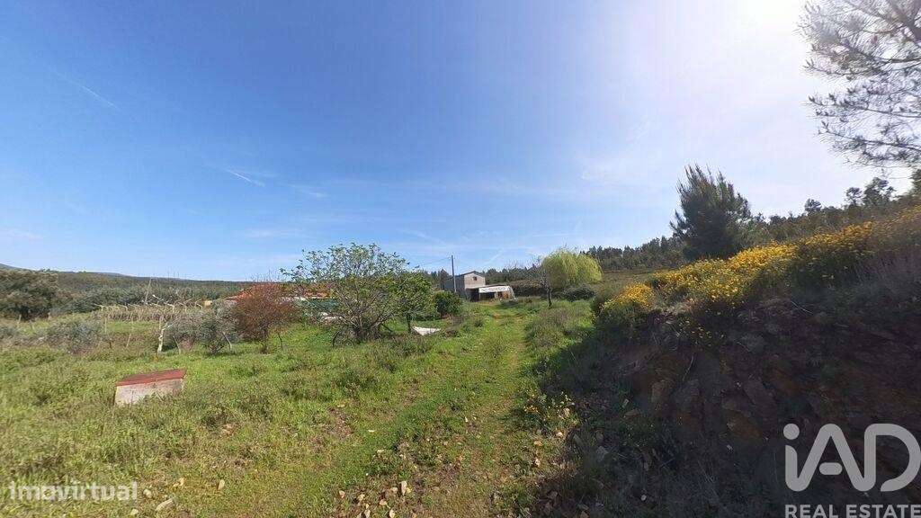 Casa / Villa T4 em Pedrógão Grande de 456,00 m2 - Grande imagem: 4/25