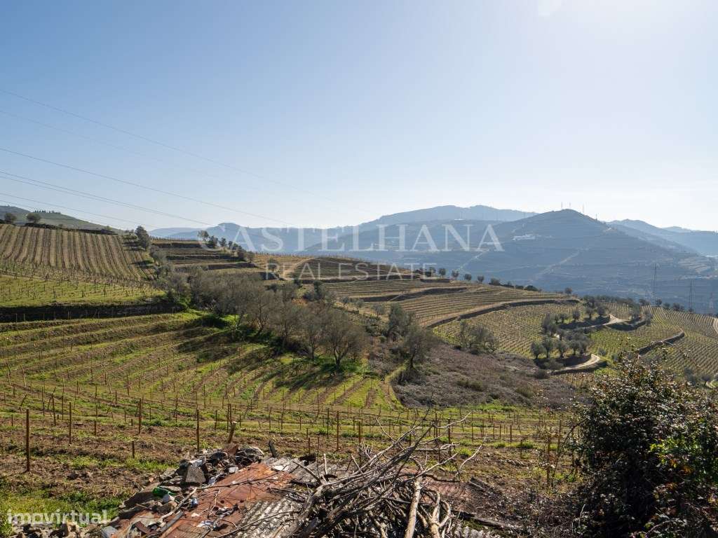 Quinta dos Corceiros - Grande imagem: 4/24