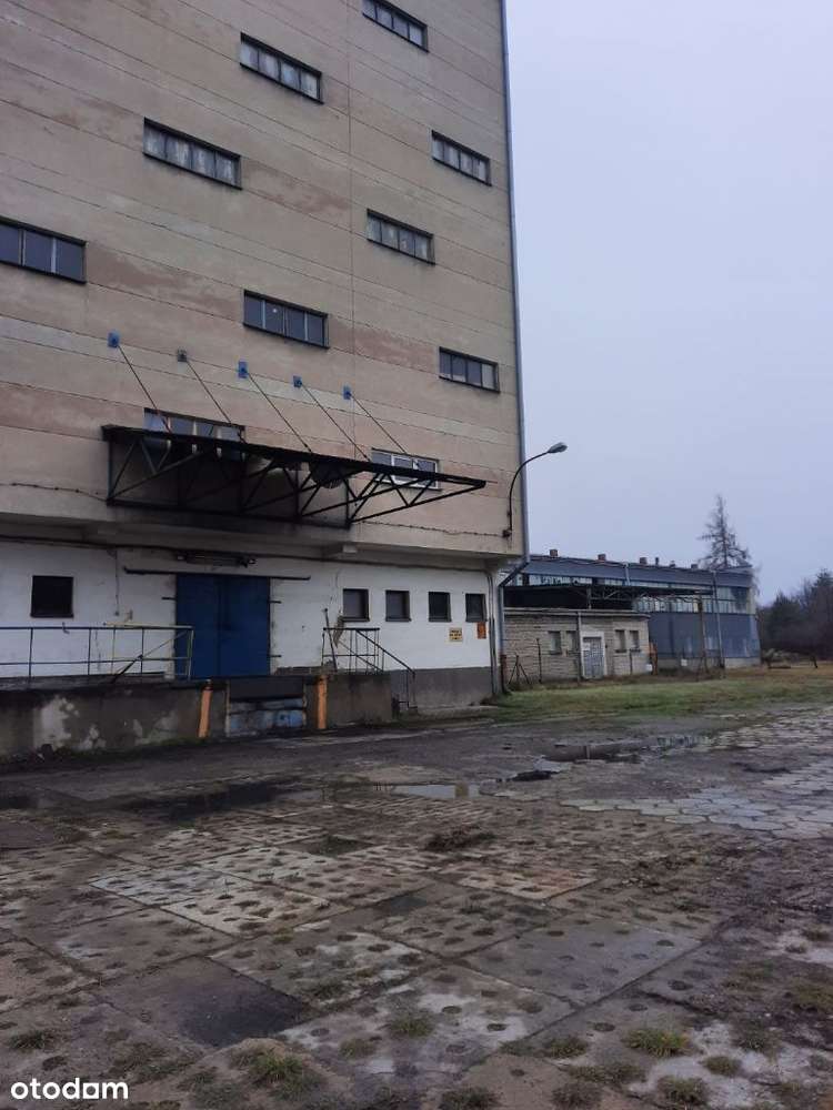 Syndyk masy upadłości oferuje do sprzedaży - Pełny obrazek: 4/5