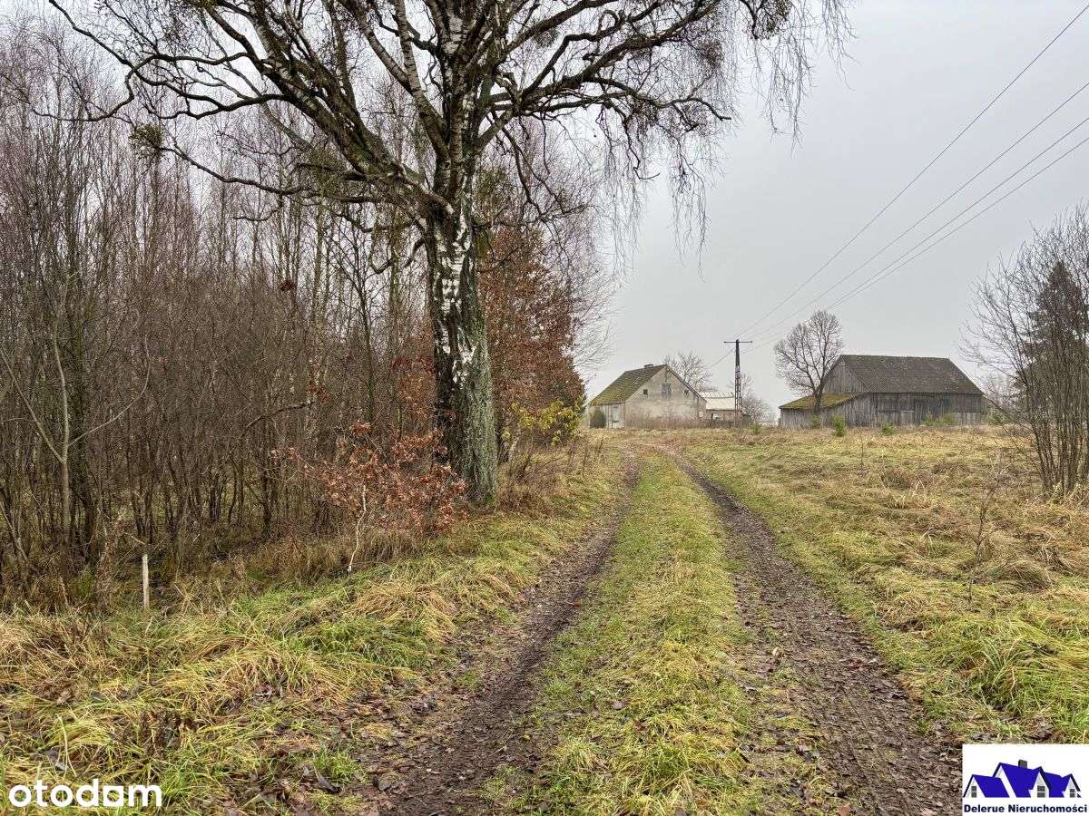 Działki budowlane gmina Czersk - Pełny obrazek: 1/15