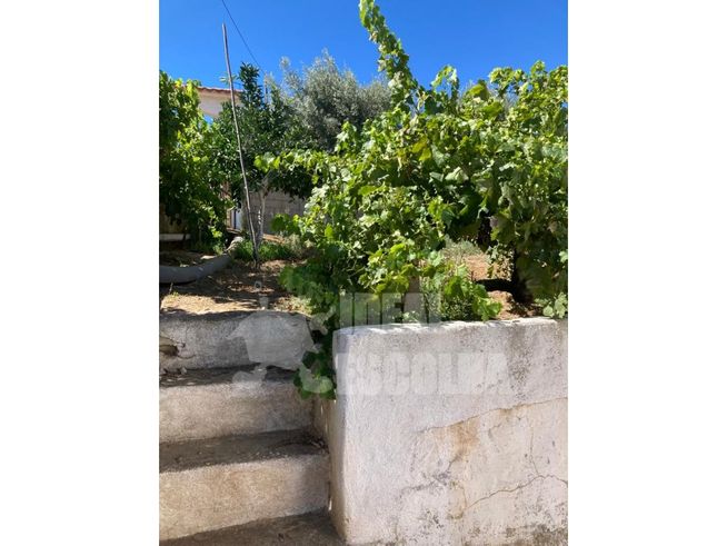 T3 ODEMIRA 379 000€.
MONTE ALENTEJANO ..-5