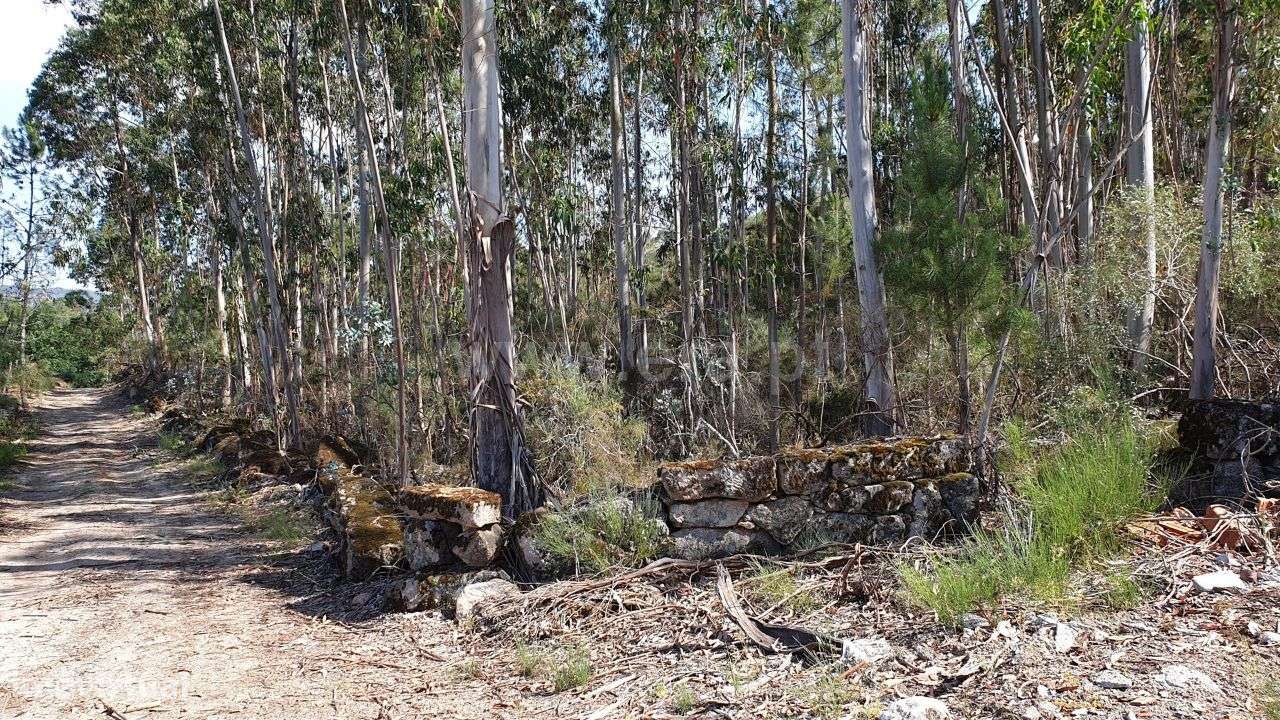 Terreno rústico com 6.645 m2 em Cabeceiras de Basto - Grande imagem: 2/20
