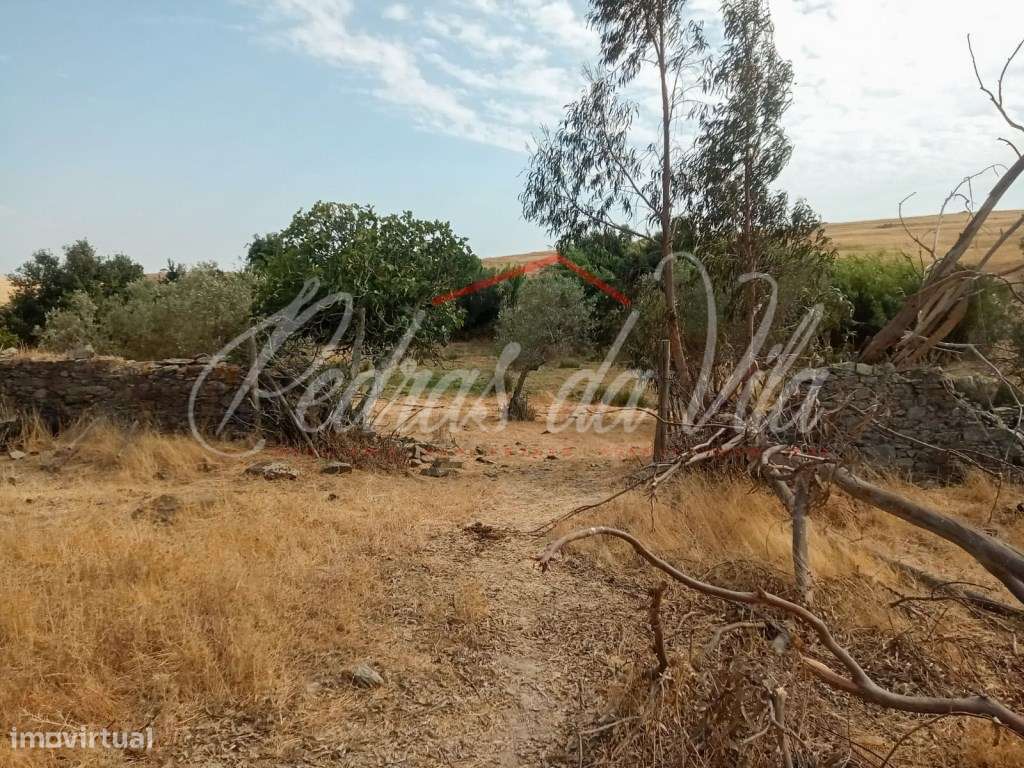 Propriédade de 119ha com varias ruinas - Castro Verde-24