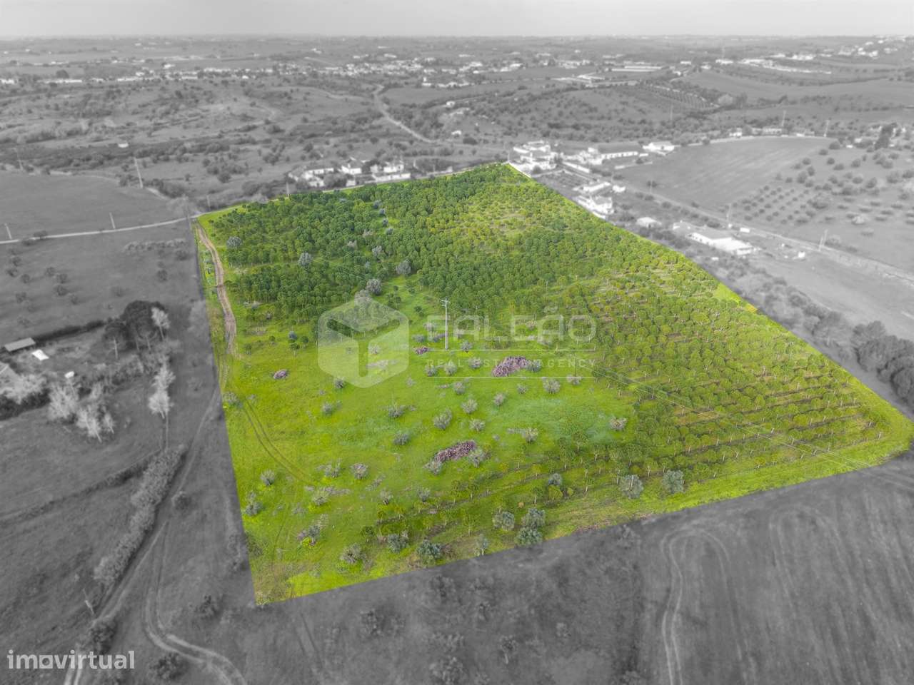Terreno Rústico  Venda em Romeira e Várzea,Santarém - Grande imagem: 2/16