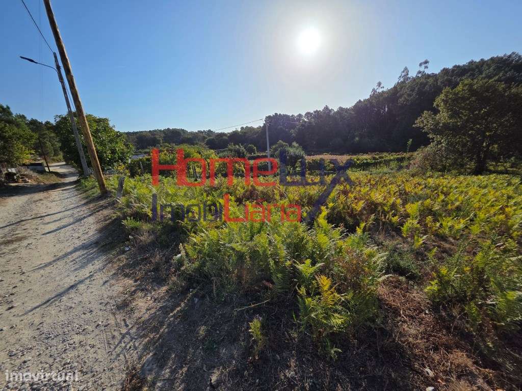 Terreno com viabilidade de construção - Grande imagem: 5/10