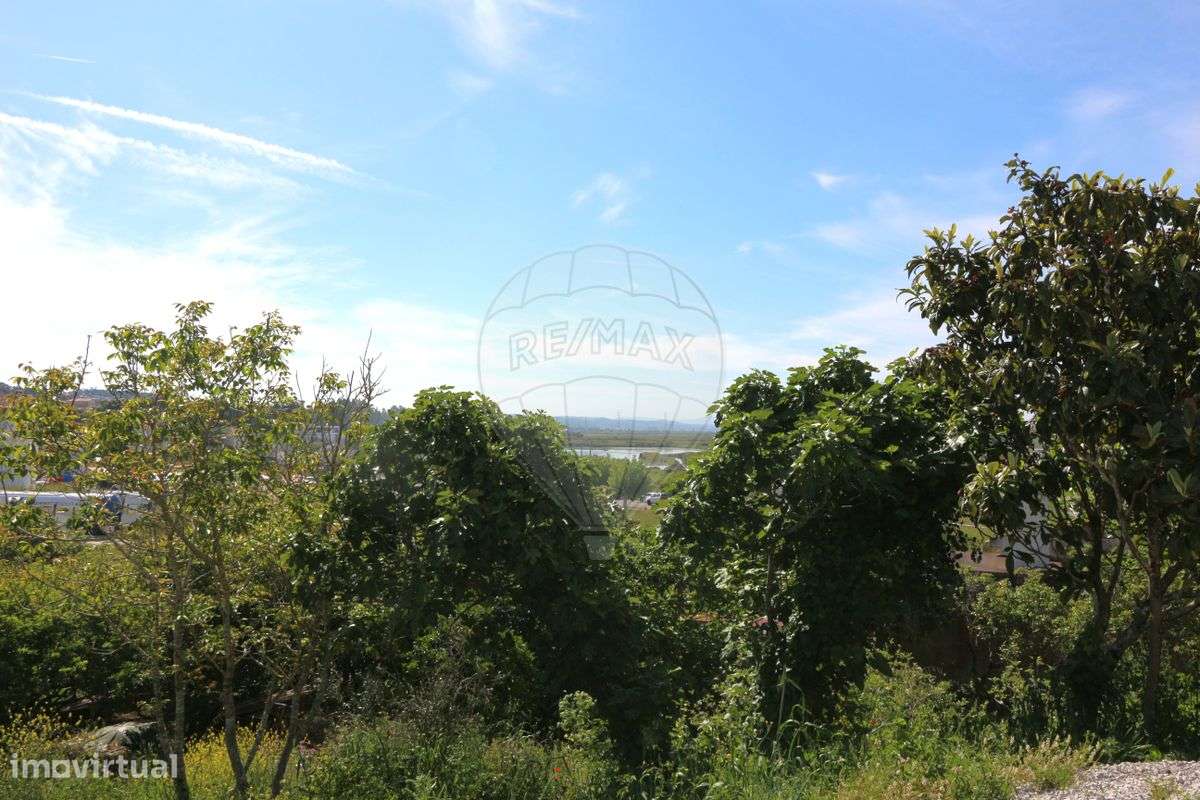 Terreno  para venda-20