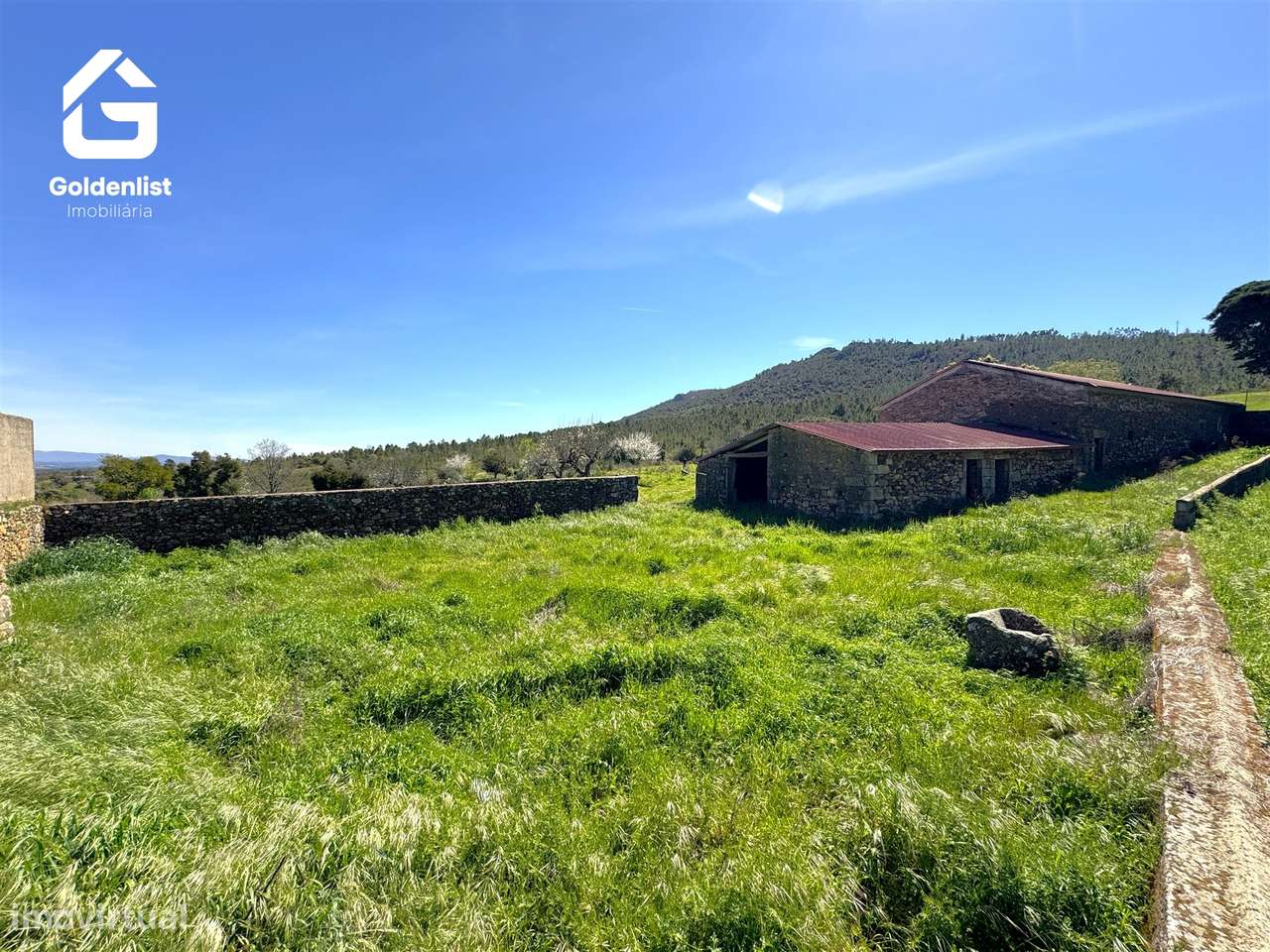 Herdade  Venda em Penamacor,Penamacor-18