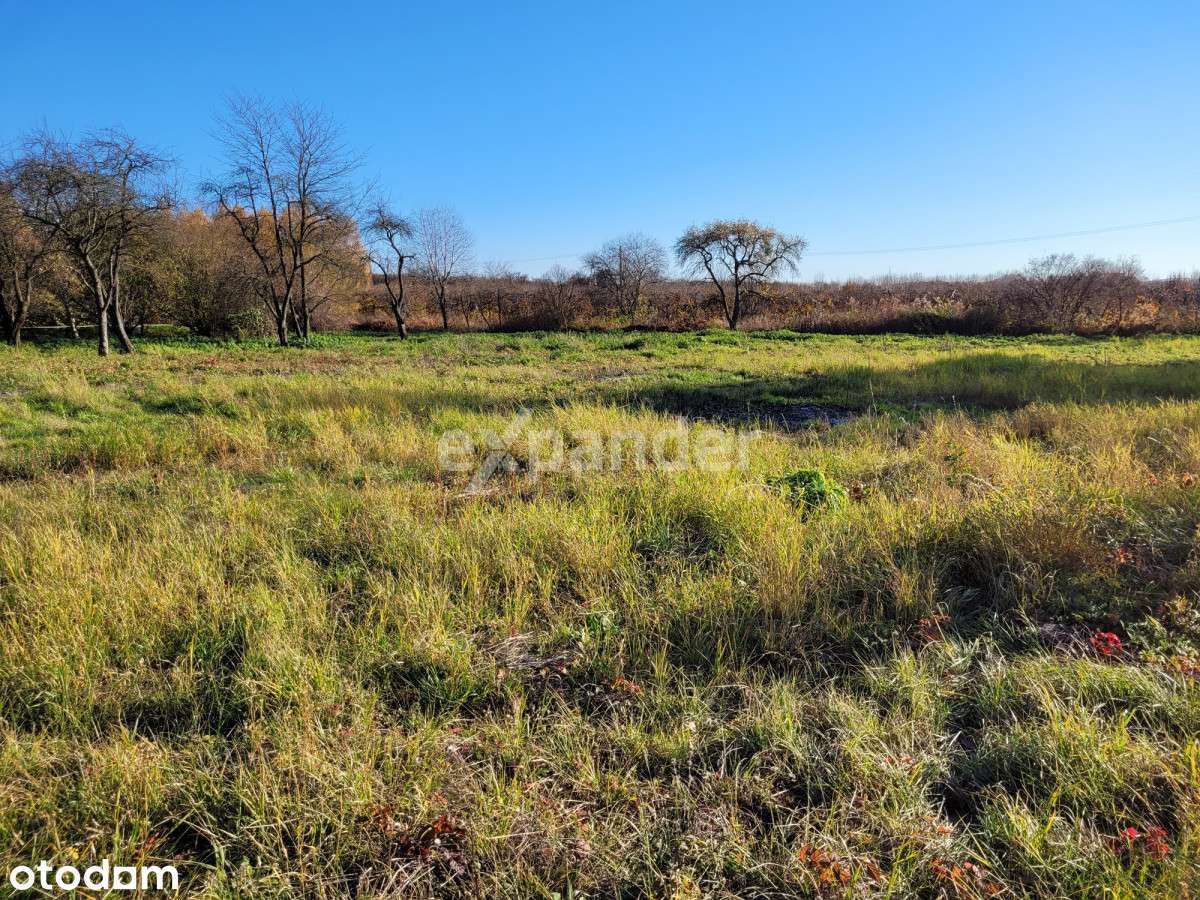 Rancho blisko Częstochowy - Pełny obrazek: 4/6