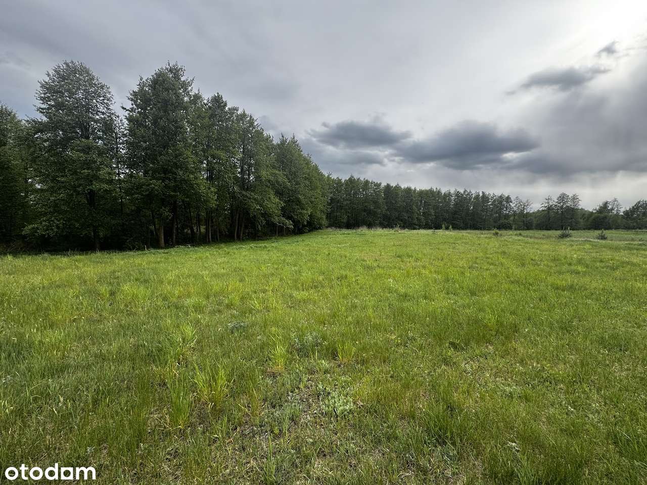 Działka budowlana w pobliżu lasu (200 metrów od jeziora)-7
