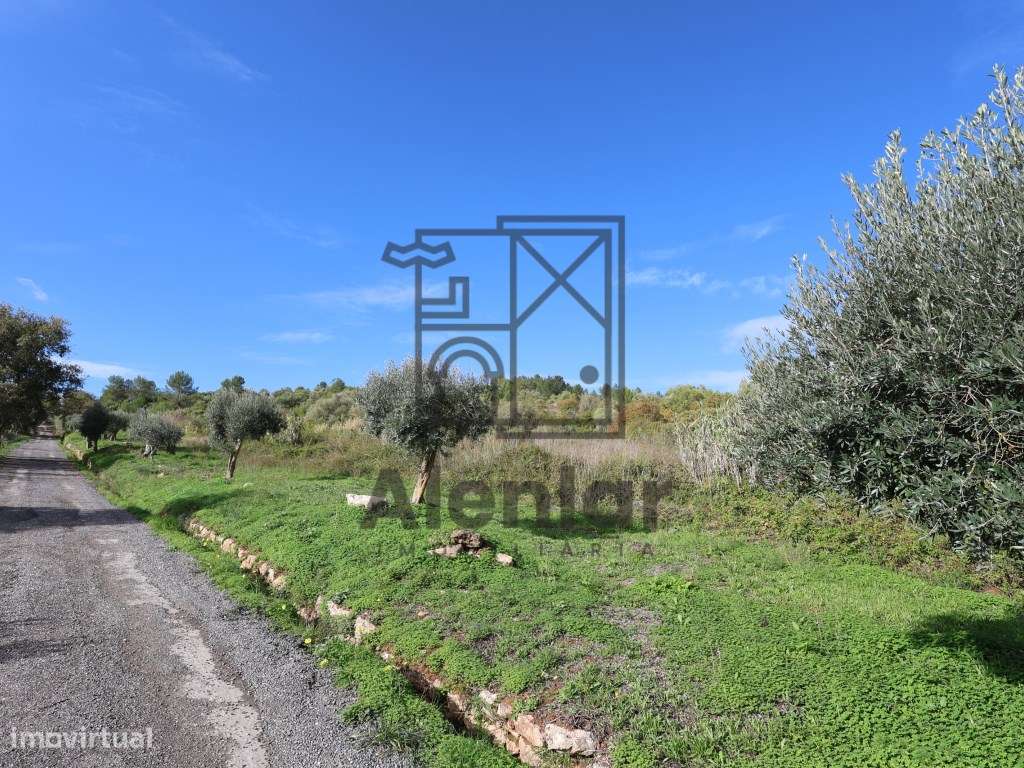 Oportunidade Única de Investimento Agrícola em Alenquer-26