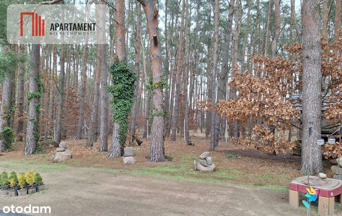 Działka 660 m² z domkiem 16 m², 500 m od jeziora-6