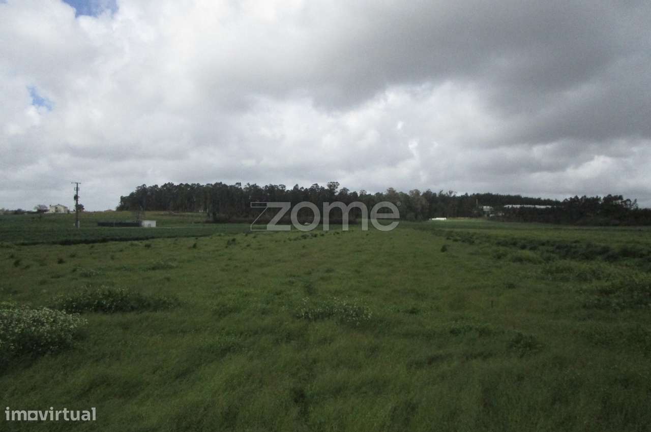 Terreno rústico com 2.700 M2 a 100m do rio ave, em Fradelos - Grande imagem: 5/15