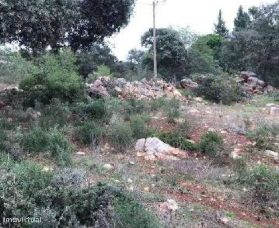 Terreno  para venda - Grande imagem: 2/3