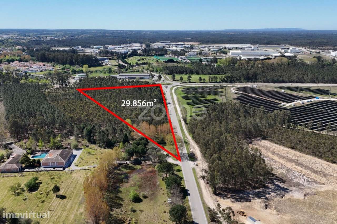 Oportunidade em Cantanhede: 3 Hectares de Potencial Ilimitado! - Grande imagem: 4/15