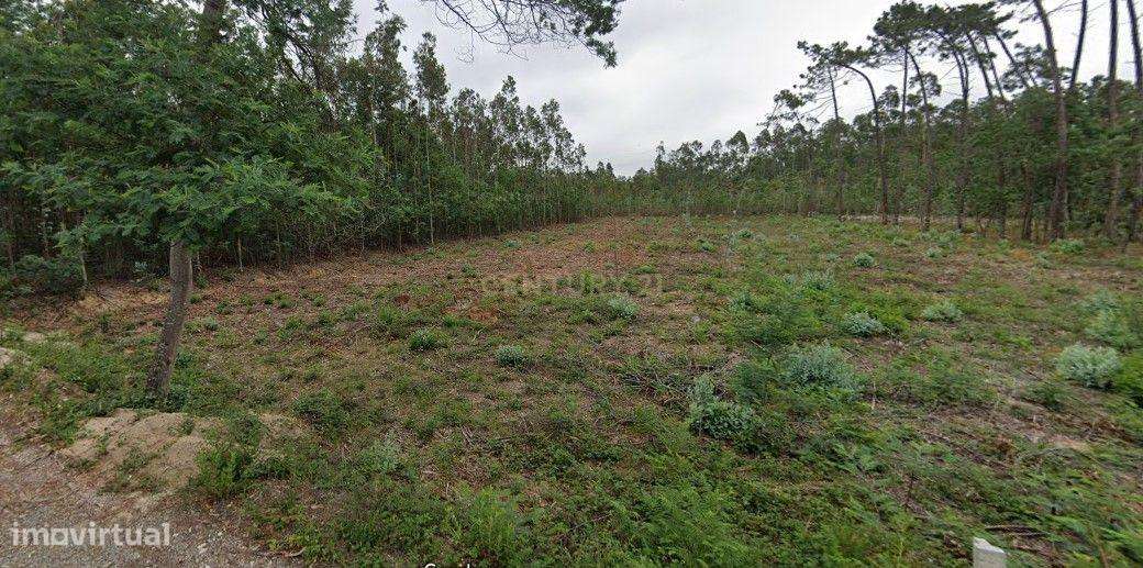 Terreno Rústico - Oportunidade Única por 11.500€ - Grande imagem: 2/7