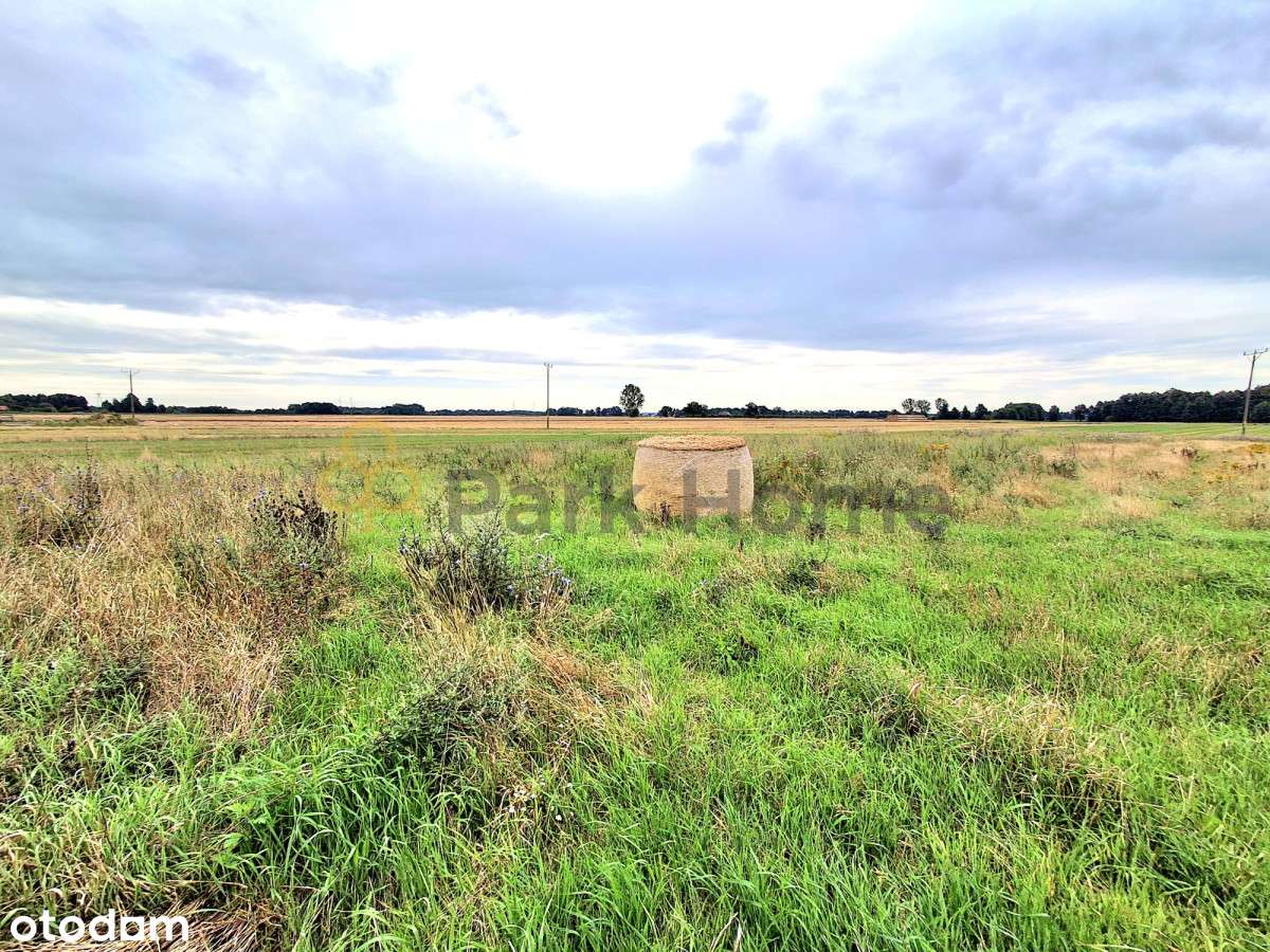 Działka 30 arowa, Droglowice - Pełny obrazek: 3/6