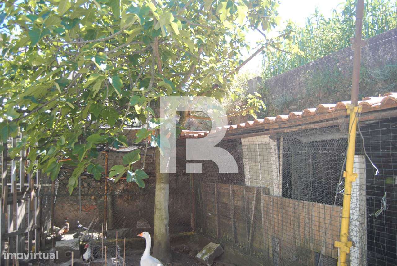 Terreno com Ruina  para construção junto ao Castelo de S. Jorge, Lis - Grande imagem: 5/22