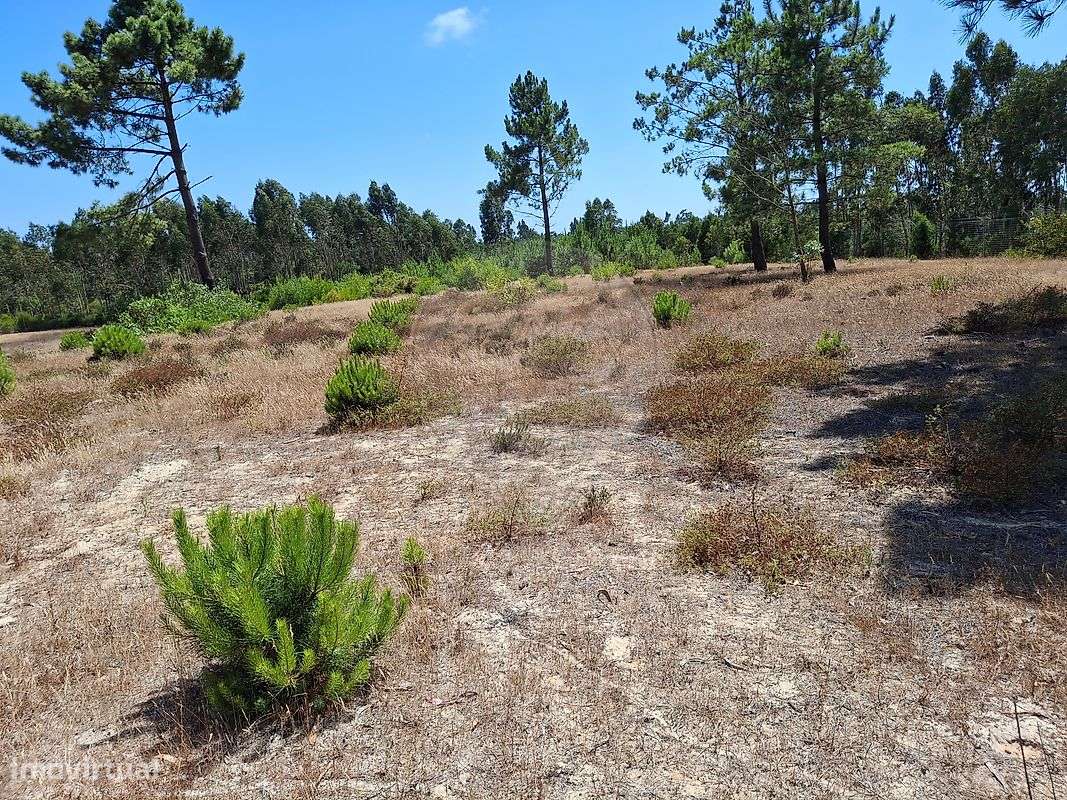 Terreno  para venda - Grande imagem: 5/8