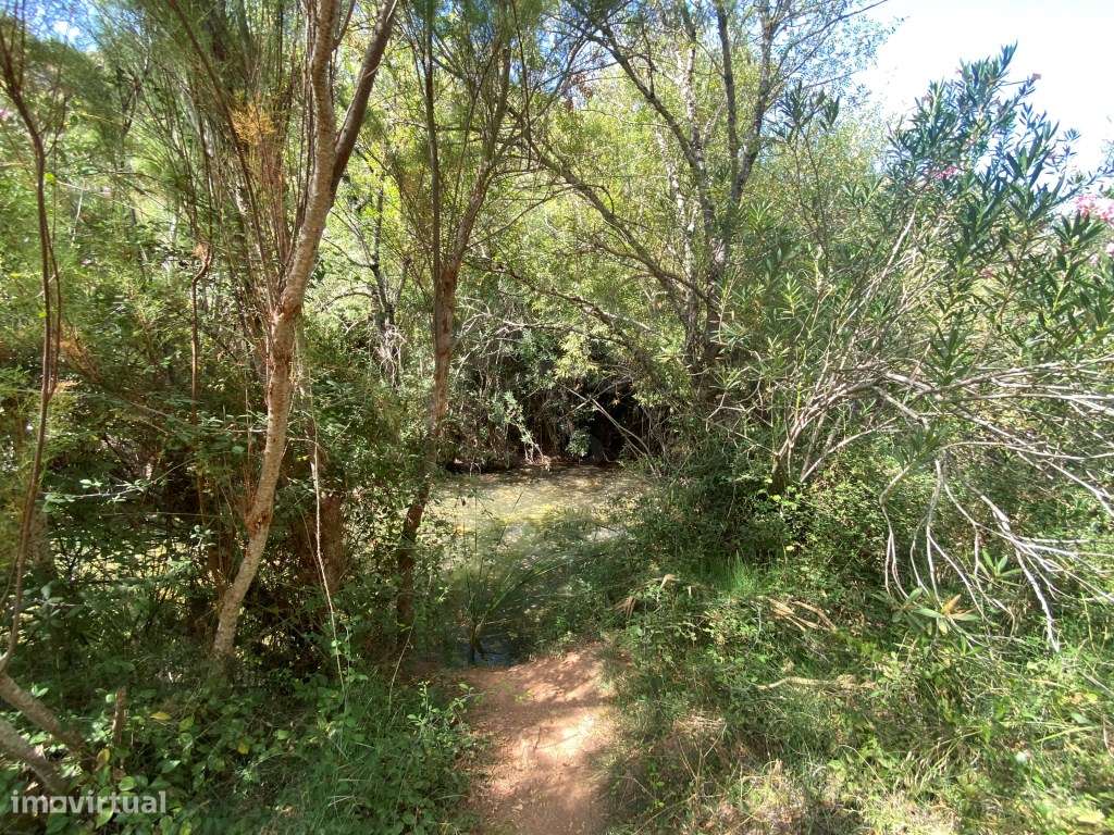 Lote de terreno rústico na Fonte da Benémola, Loulé, Algarve - Grande imagem: 5/17