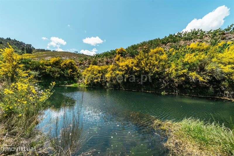 Quinta Estúdio / Fundão, Castelejo - Grande imagem: 1/20