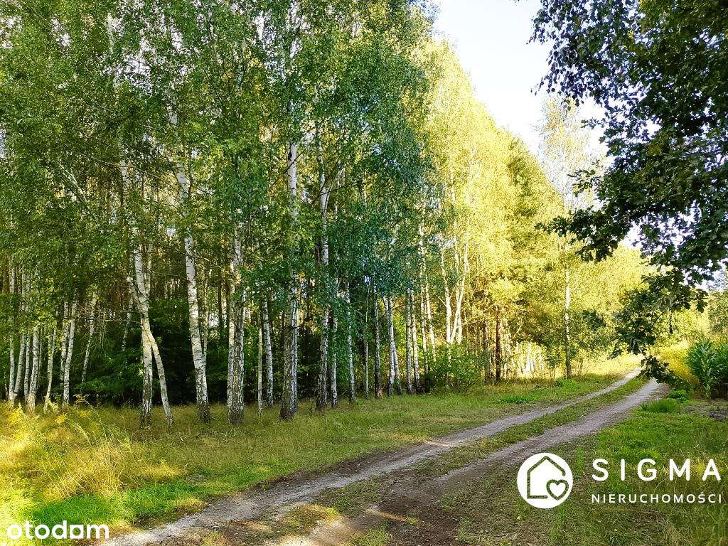 Piękna działka przy lesie MPZP 50 km od Warszawy