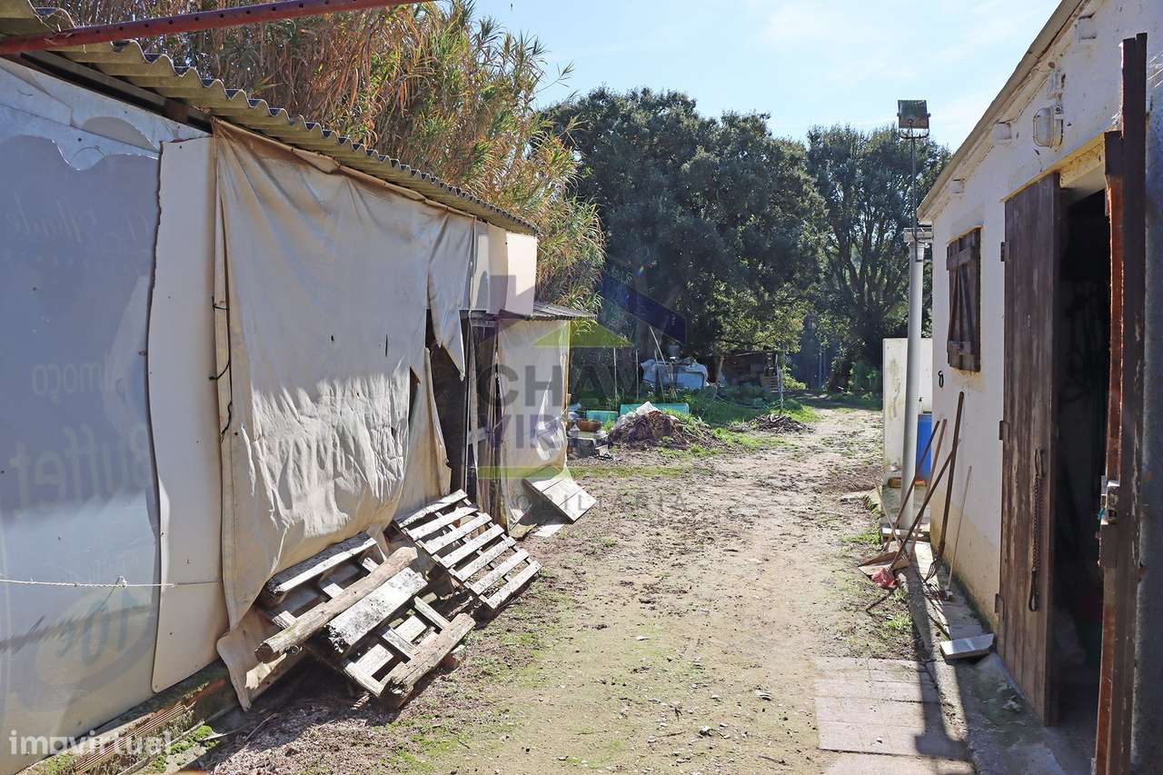 Magnífica Quinta c/ 10.490 m2 Concelho Cadaval-36