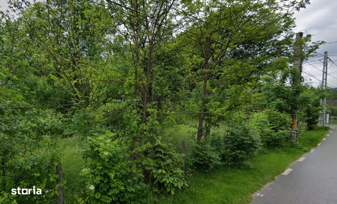 Teren intravilan 3.788 mp, utilitati, Fieni-Costești, deschidere 39 m - Imagine principală: 4/10