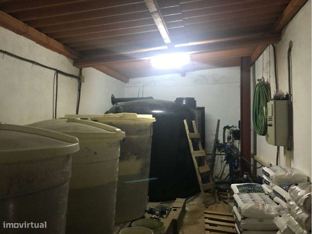 Estremoz Évora herdade 4ha com armazém de 600m2. Bom Investimento-17