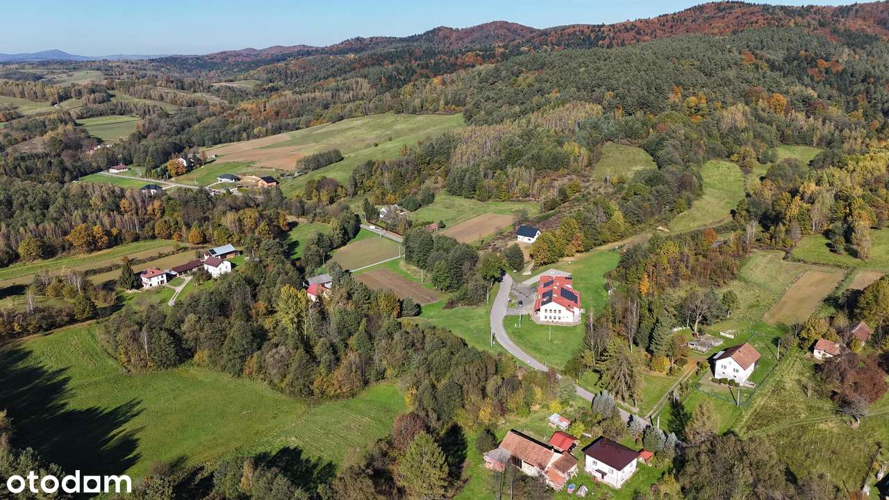 Pietrusza Wola – działka z WZ na 2 domy, media na działce-8