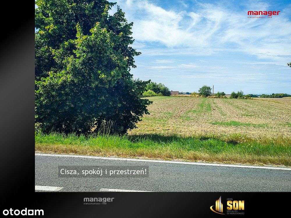 Działka, 5 788 m², Tworków - Pełny obrazek: 4/6