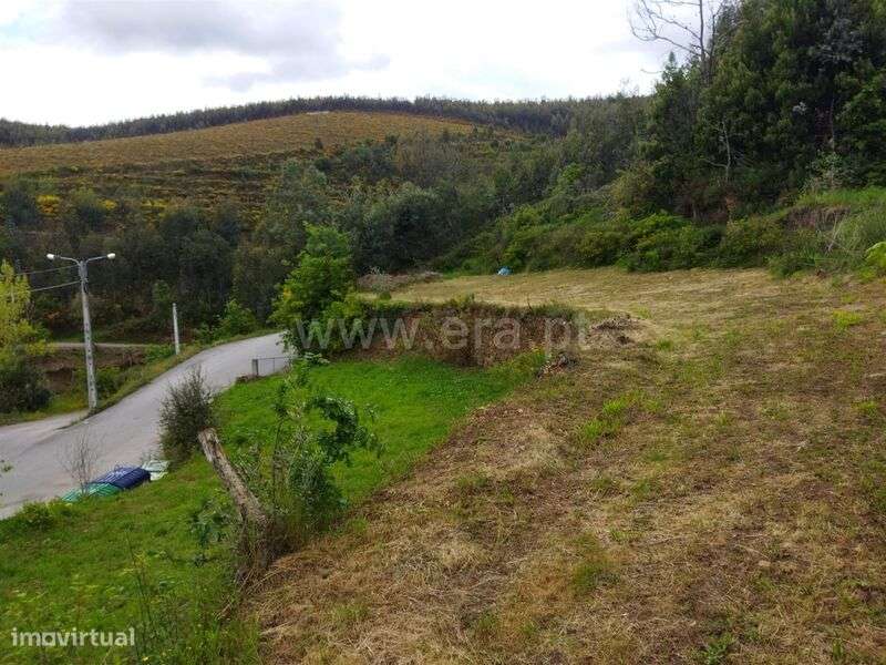 Terreno / Castelo de Paiva, Raiva, Pedorido e Paraíso - Grande imagem: 2/7