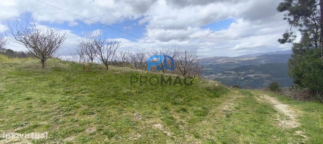 Terreno Urbanizável de 7959 m² com Armazém-53