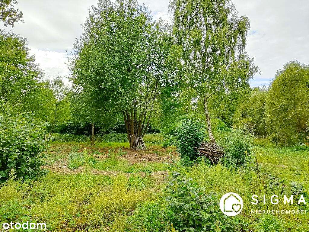 Działka Henryszew przy lesie  PKP - Pełny obrazek: 4/5
