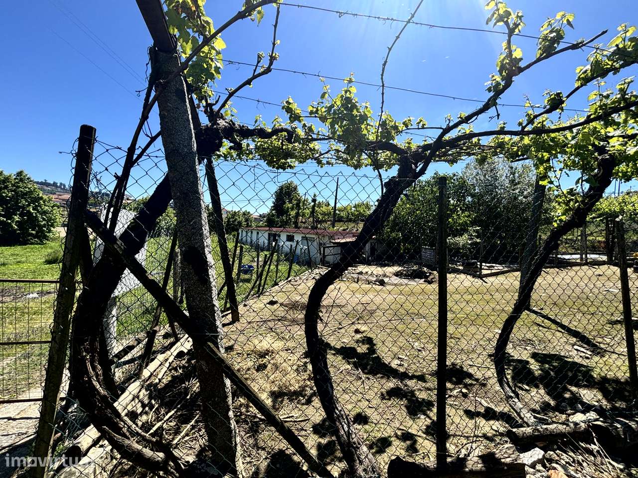 Belíssima Quinta T5 com produção ativa de Vinhas-37