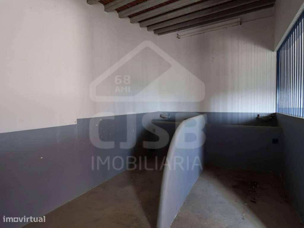 Quinta T5 na Branca-32