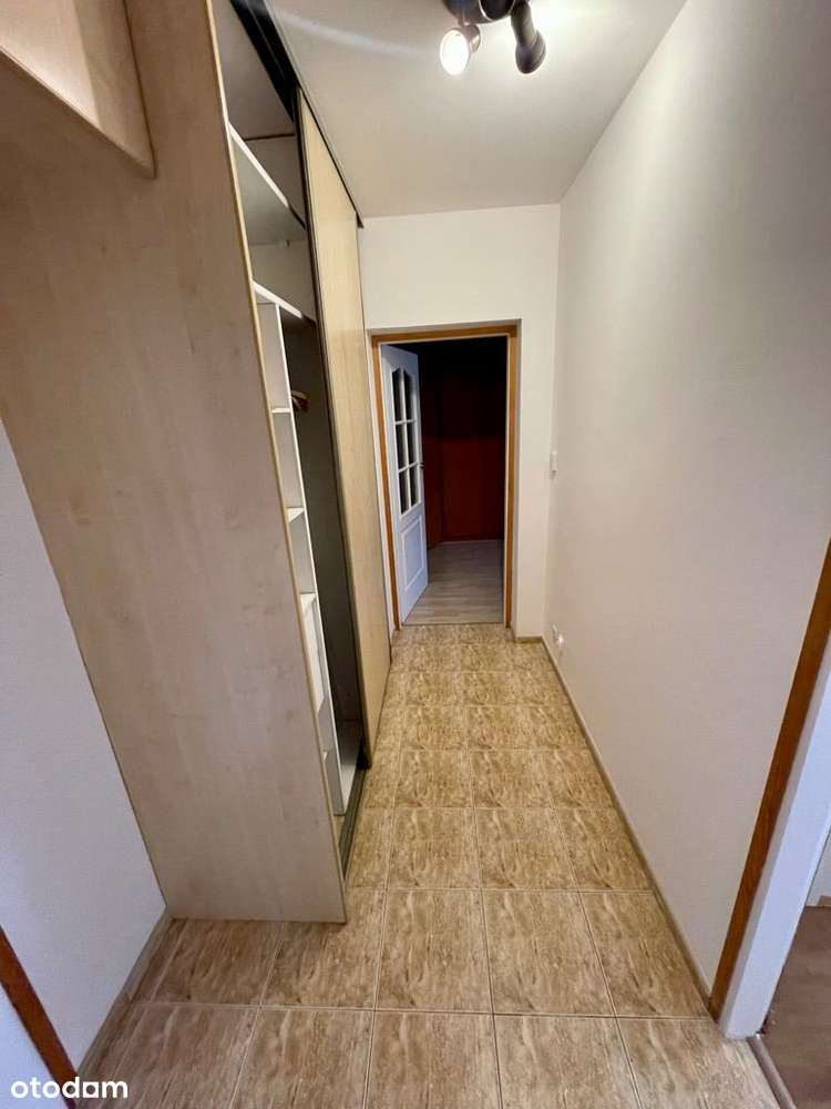 Jeżyce Mylna 2P do wejścia po remoncie - Pełny obrazek: 5/10