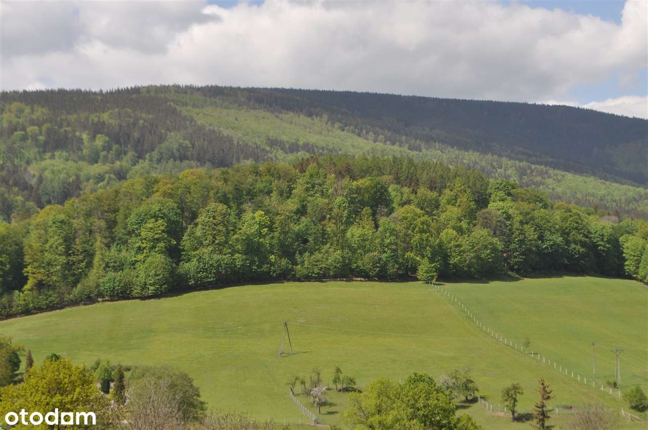 Góry Sowie, Kamionki działka budowlana 22,3 ara. - Pełny obrazek: 4/5