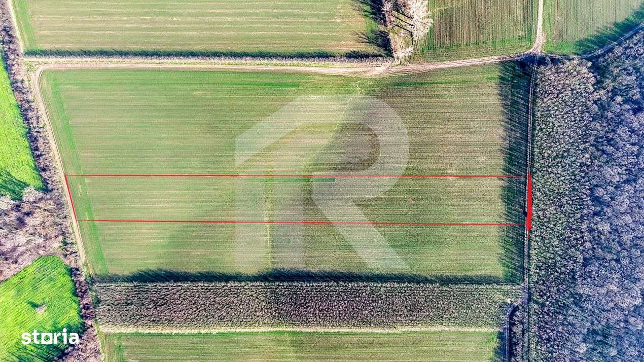 Teren langa Manastirea Sfantul Nicolae Sitaru - Imagine principală: 2/9