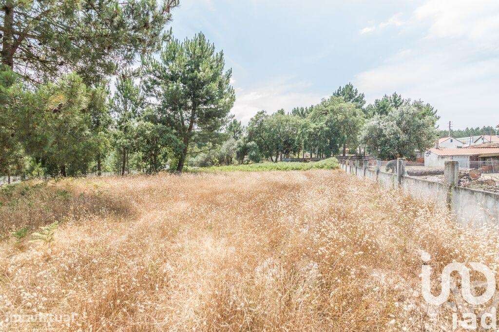 Terreno Agrícola em Marinha Grande - Grande imagem: 4/5