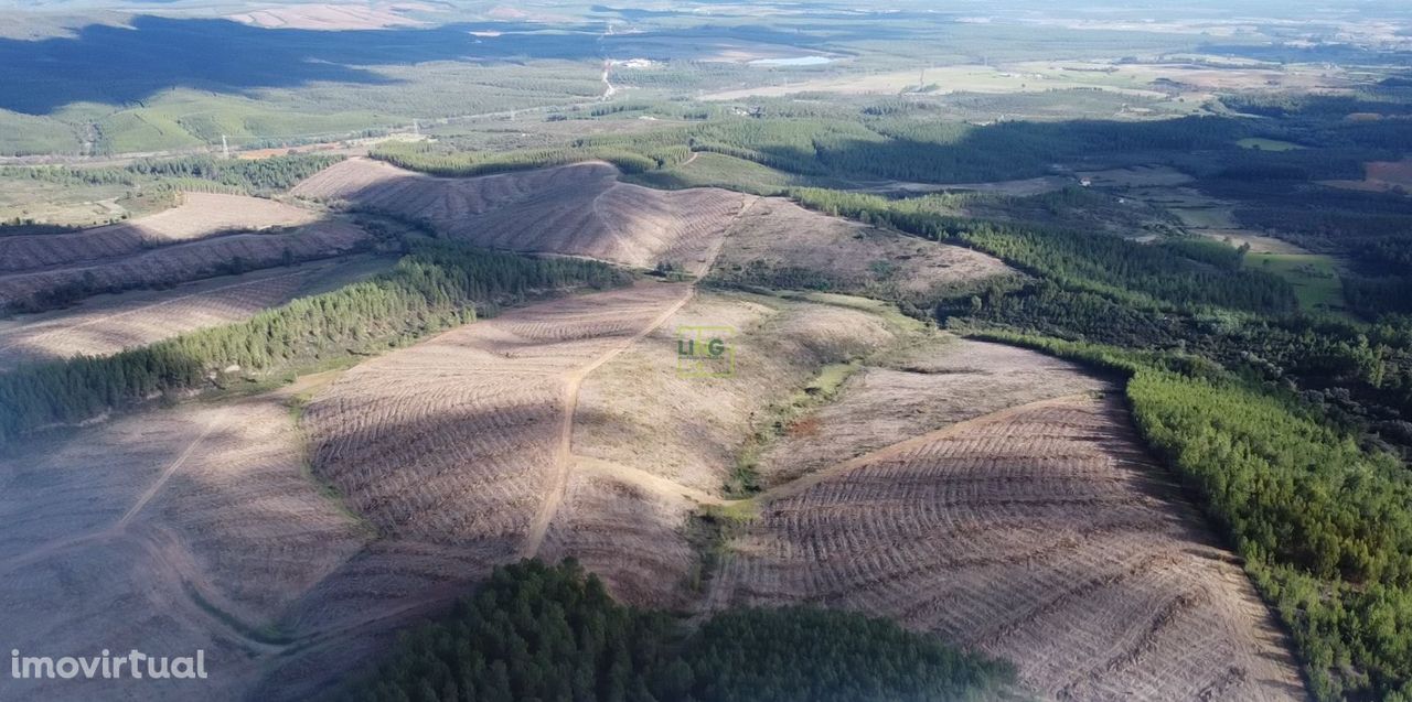 Terreno, em Enxames, Fundão com 137.610m2